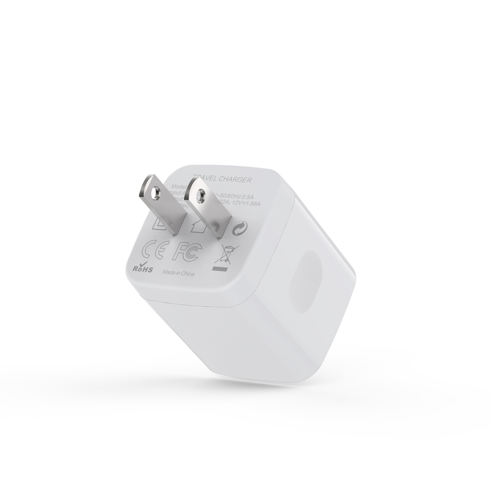 AI-QC66  20W  US White